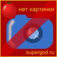 Новогодние туры в южные зарубежные страны